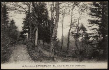 1 vue  - La Forêt-Landerneau. - Entrée du bois de la Grande Palud (ouvre la visionneuse)