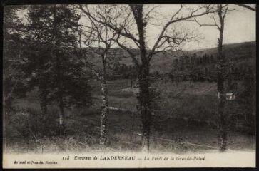 1 vue  - La Forêt-Landerneau. - La Grande Palud, la forêt (ouvre la visionneuse)