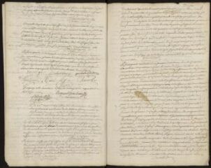 229 vues  - Registre des délibérations de la Communauté de ville, 1749-1761 (ouvre la visionneuse)