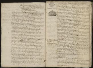 49 vues  - Registre des délibérations de la Communauté de ville, 1685-1689 (ouvre la visionneuse)