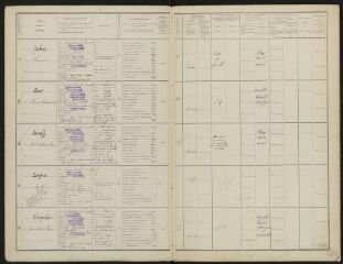20 vues  - Liste de recensement des classes – 1913 (ouvre la visionneuse)