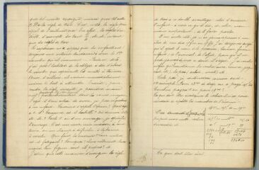 92 vues  - Ecole Jules Ferry : registre d’enregistrement du Conseil des maîtres (ouvre la visionneuse)